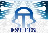 FST-FES